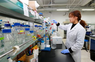 奋斗崭新学期，书写南开医药教学新篇章